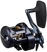 Amazon | ダイワ(DAIWA) スロージギングロッド SALTIGA SJ 61B-0・W