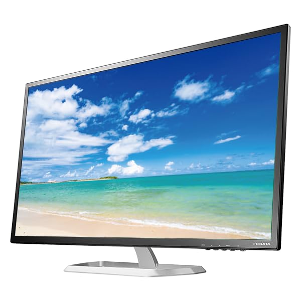 IO DATA 未使用 31.5型 広視野角ADS HDMI DP DF321X アイ・オー