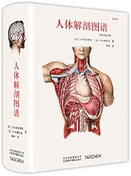 41DyQrH6oqL._AC_UF350,