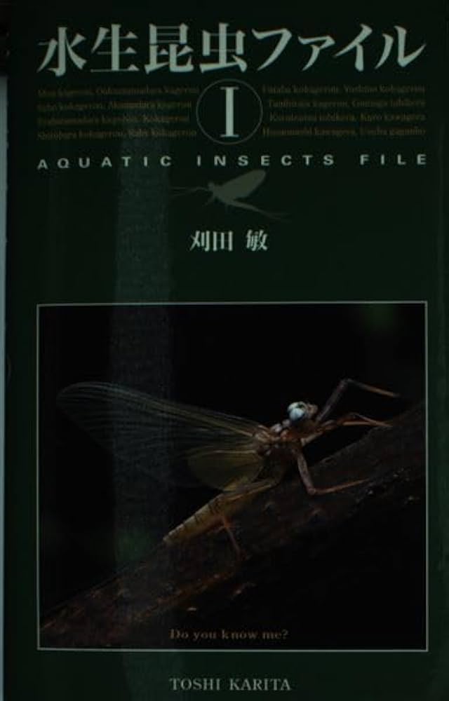 水生昆虫ファイル (1) | 刈田 敏 |本 | 通販 | Amazon
