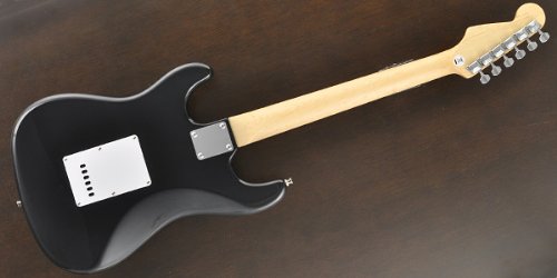 Amazon | PLAYTECH エレキギター ST250 BLACK Maple | エレキギター