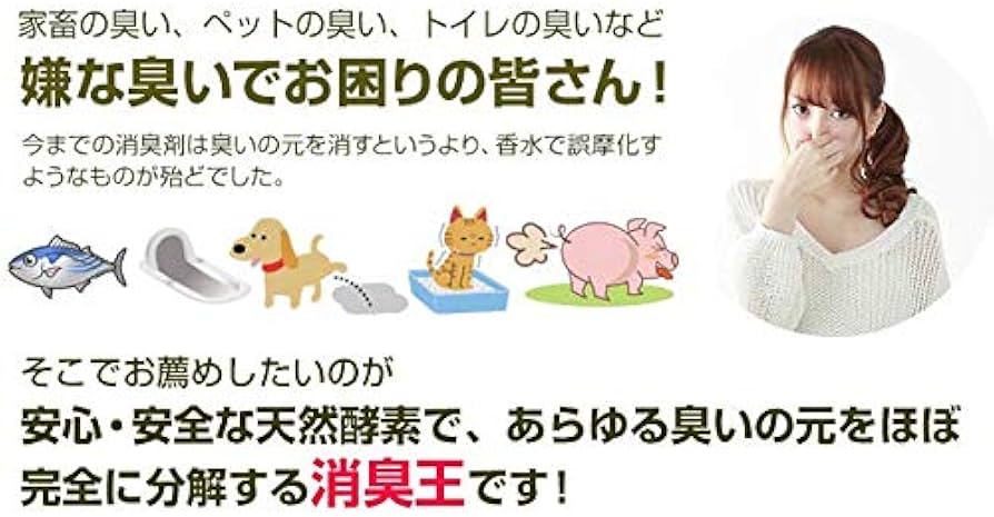 Amazon.co.jp: 消臭王GT-S 液体 無臭 10リットル 嫌な臭いを分解消臭