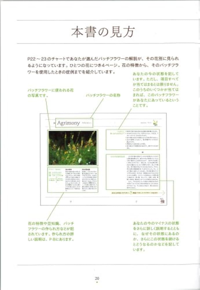 バッチ フラワー BOOK 〜38種 花のエッセンスが心をいやす〜 | 白石 由