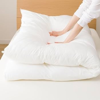 Amazon｜ニトリ 完全2層式 ホテルスタイル 掛布団 Nホテル セレクト