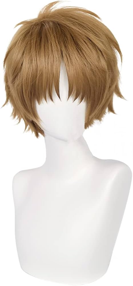 Amazon.co.jp: LAOBAO コスプレ ウィッグ 李小狼 かつら カツラ ボブ