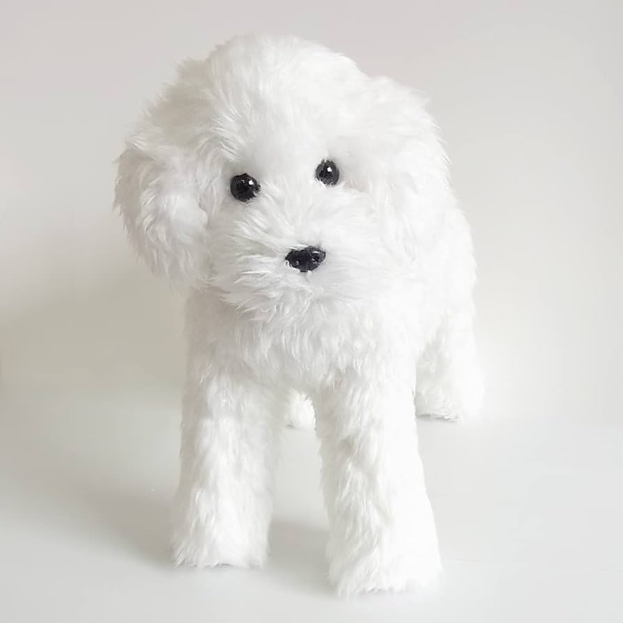 Amazon.co.jp: ニニアンドキノ ぬいぐるみ 犬 リアル トイプードル