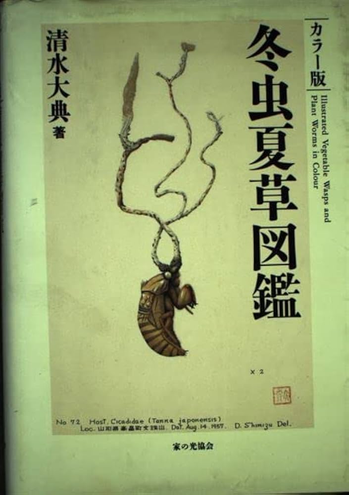 冬虫夏草図鑑 カラー版 | 清水 大典 |本 | 通販 | Amazon