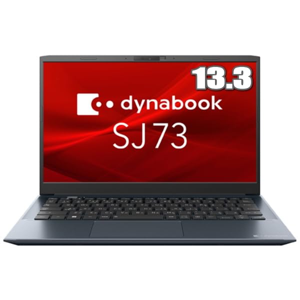 TOSHIBA dayna book Windows 11 pro 64