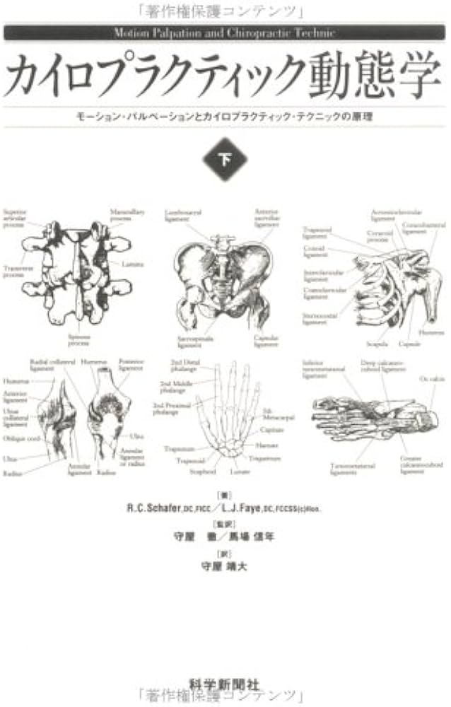 カイロプラクティック動態学: モ-ション・パルペ-ションとカイロ