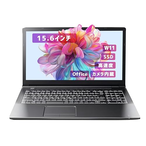 東芝ノートパソコン」の人気商品一覧 | 安い商品を通販サイトから探す