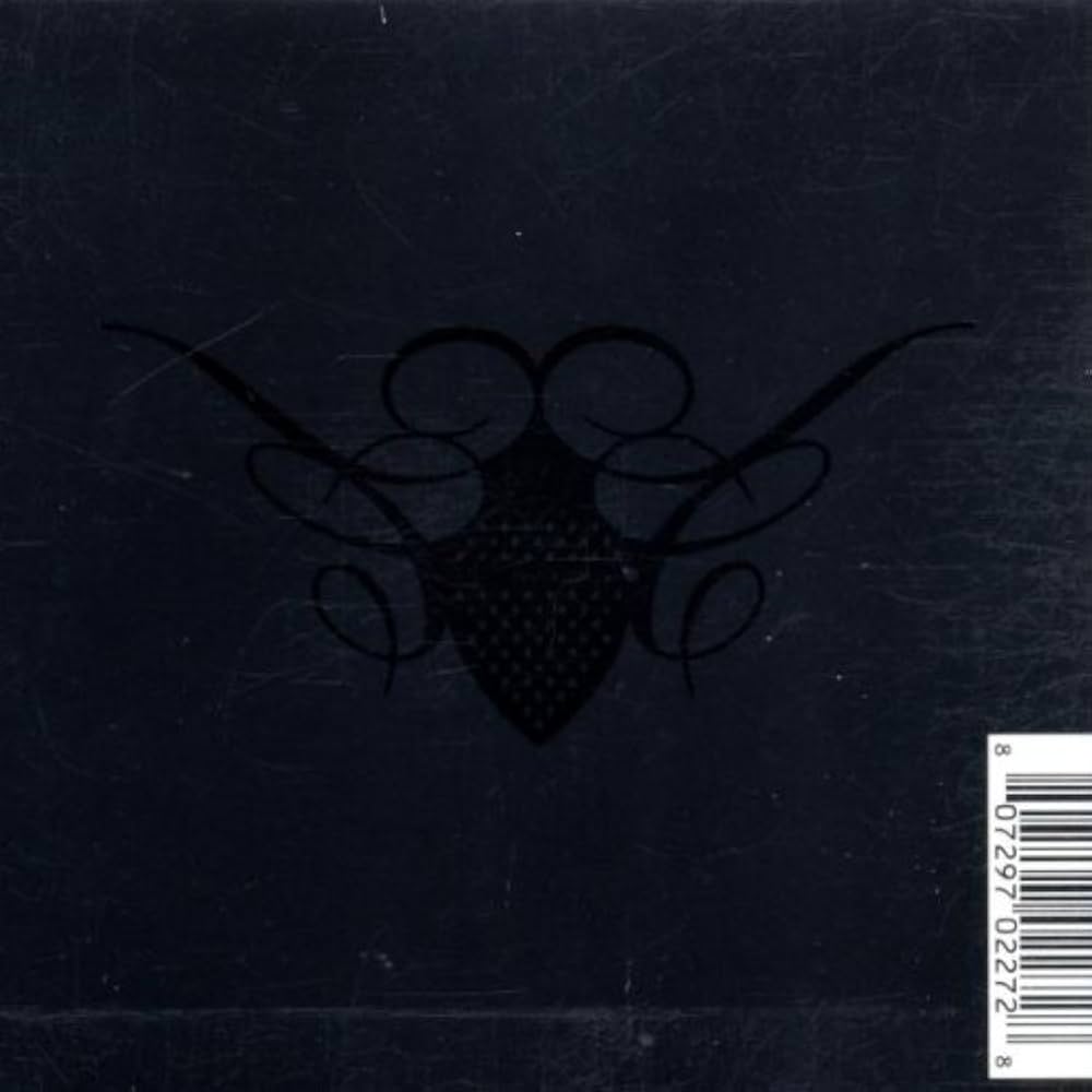 VARIOUS ARTISTS - Cocoon Compilation C - Amazon.com Music