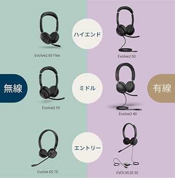 Amazon.co.jp: Jabra ヘッドセット Evolve 65 TE ワイヤレス 両耳 無線