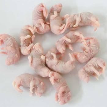 ひ 送料無料 冷凍ピンクマウスL200匹 ピンクマウスM100匹 ひ 送料無料