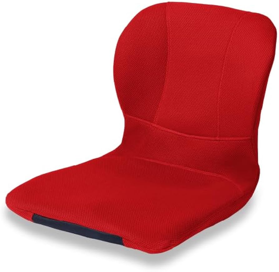 Amazon.co.jp: PINTO W 【正規品】骨を支える腰ラク習慣 疲れを感じ