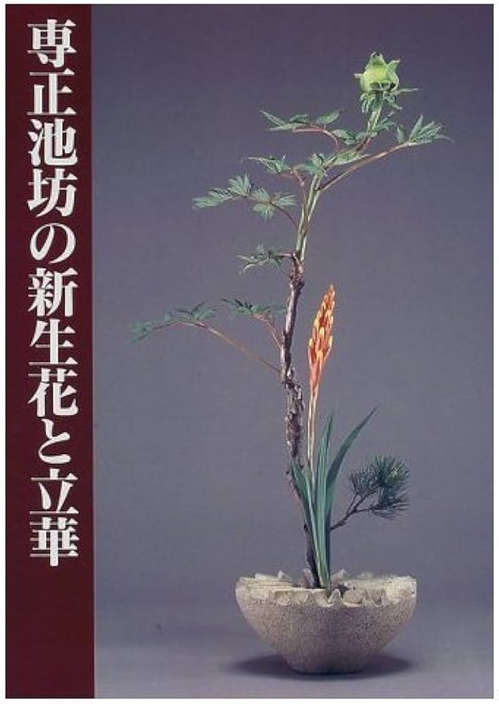 専正池坊の新生花と立華 | 諸泉 祐陽 |本 | 通販 | Amazon