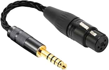 41P-4XWeG8L._AC_UF350,