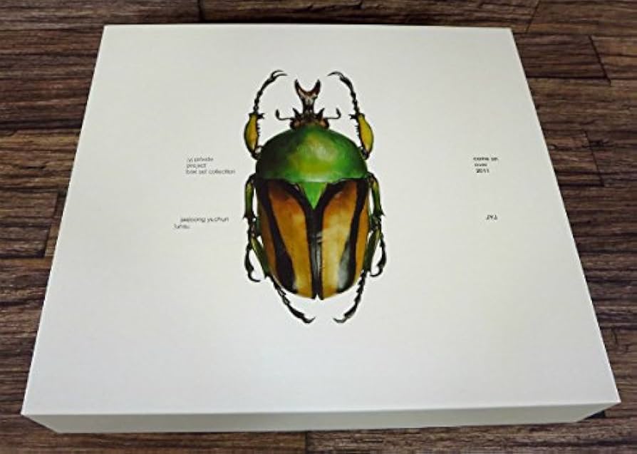 Amazon.co.jp: ＊JYJ private project box set collection 『come on