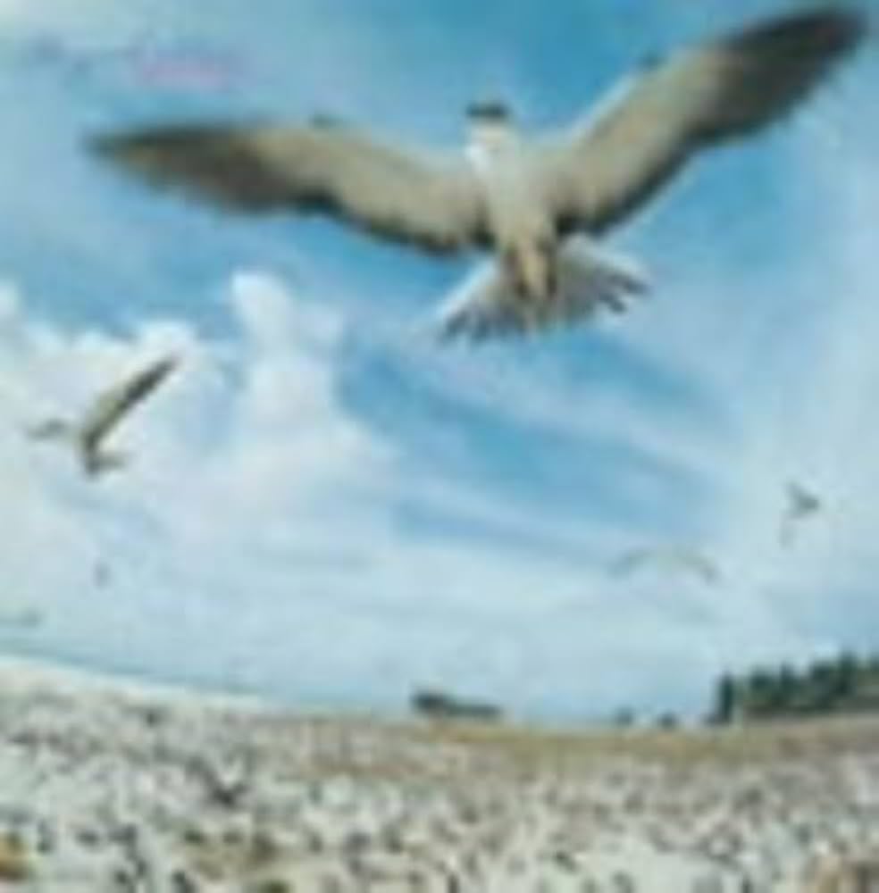 Amazon.co.jp: SEYCHELLES(紙ジャケット仕様): ミュージック