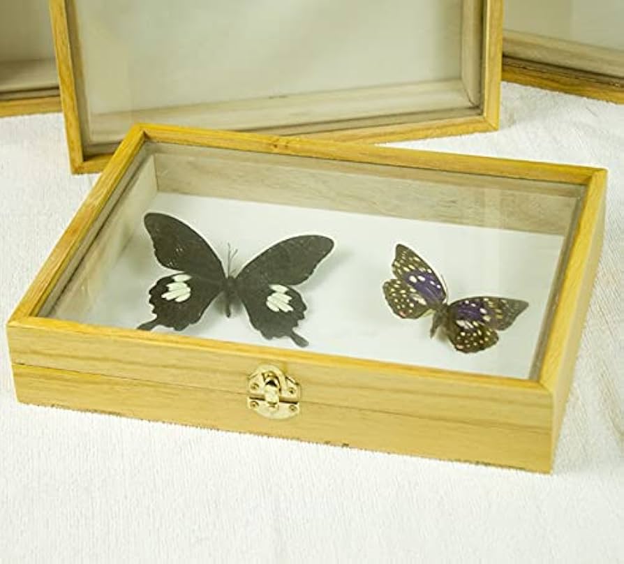 41Pv0bGG1GS._AC_UF894,