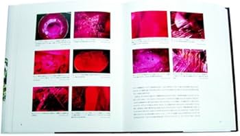 Amazon.co.jp: アンダースタンディング・ジュエリー : デイヴィット