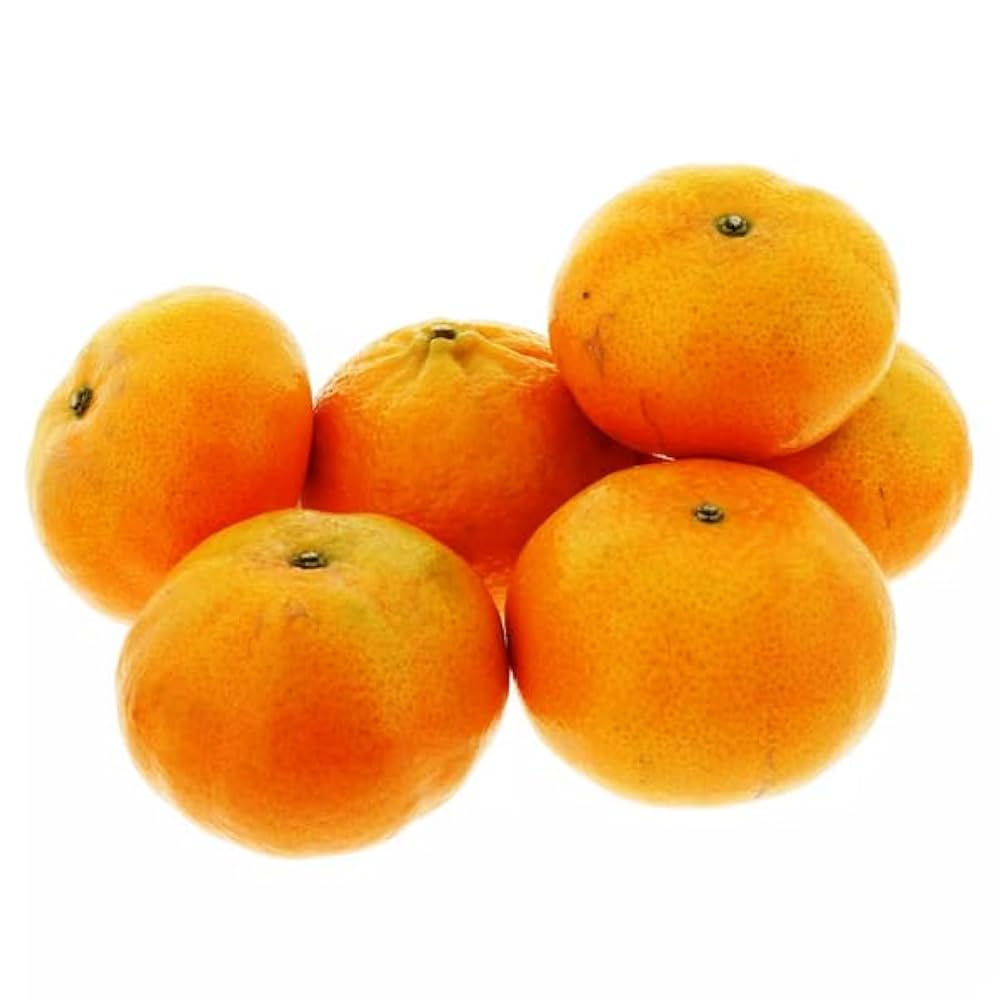 超美品 Golden Nugget Orange ゴールデンナゲット オレンジ 美品