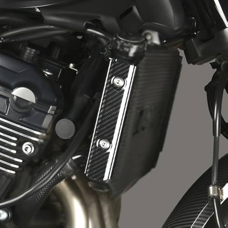 Amazon | Z900RS 2018-2020 ラジエターサイドカバー 左右セット z900rs