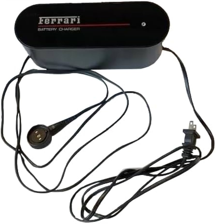 Amazon.co.jp: フェラーリバッテリー充電器キット - アメリカ : 車＆バイク