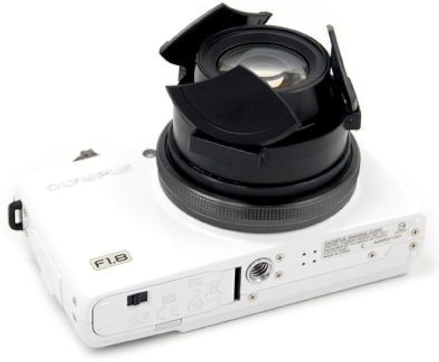 41VZycHsPyL._AC_UF894,