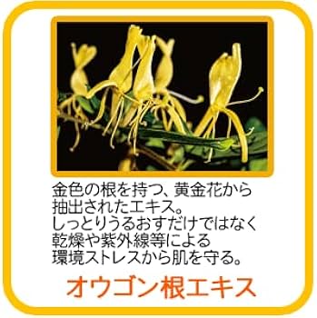 Amazon | ポーラ [アロマエッセゴールド] モイスチャーローション 業務