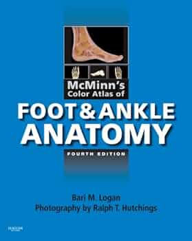 41WAJOuWe-L._AC_UF350,