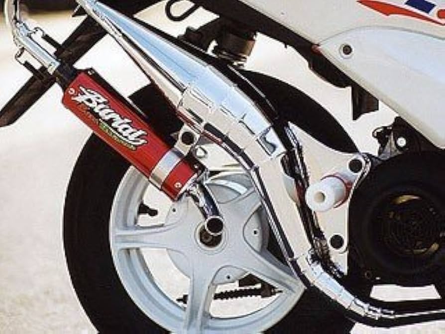 Amazon | ベリアル (BURIAL) チャンバー ユーロブレイズ RD P ライブ