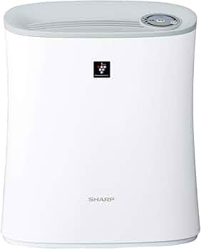 41XJNYa1Z5L._AC_UF350,