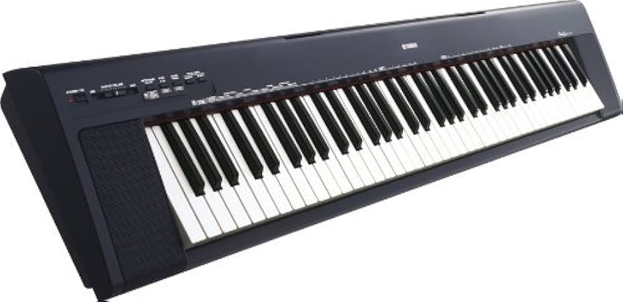 Amazon.co.jp: YAMAHA ポータブルグランド NP-30 : 家電＆カメラ