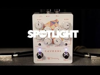 Amazon | Caverns Delay Reverb V2 | ディレイ・リバーブ | 楽器・音響機器