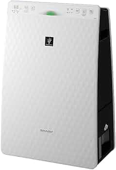 41a1oh5ENaL._AC_UF350,