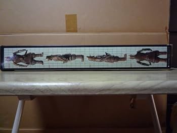 Amazon.co.jp: 絶版 リアルホビーシリーズ№4 正義の巨神 大魔神