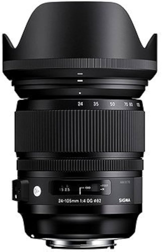 SIGMA 24-105 mm F4 DG OS HSM for Nikon ART : Amazon.ca: Electronics