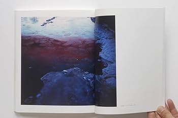 Amazon.co.jp: 新田樹写真集『Sakhalin』 : 新田樹: ゲーム