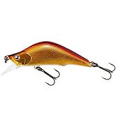 Amazon | ティムコ(TIEMCO) ユーフレックス・ノービスワン 804-4