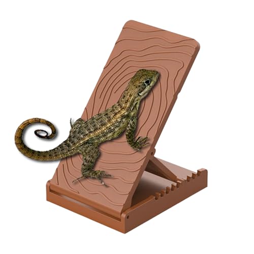 お値下げ中！！飼育ケース2個入りフトアゴヒゲトカゲ飼育14点セット お