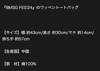 Amazon.co.jp: BMSG FES'24 ワッペントートバッグ : おもちゃ
