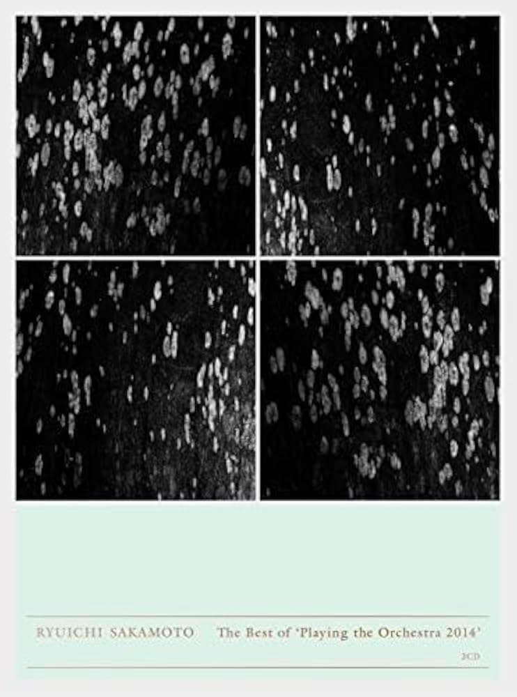 Amazon.co.jp: Ryuichi Sakamoto | Playing the Orchestra 2014 (CD2枚