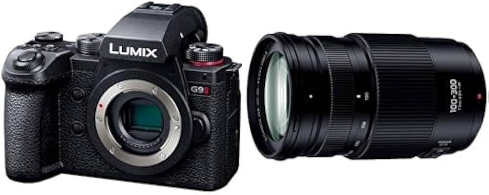 Amazon.co.jp: （セット買い）パナソニック(Panasonic) ミラーレス一眼