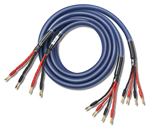 Amazon | 【バイワイヤー】 WYVERN AUDIO 極太 超高純度銅 12芯 バナナ