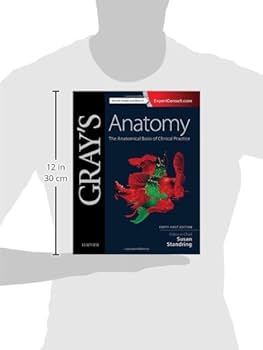 41hme9VoOTL._AC_UF350,