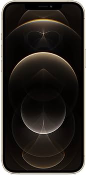 Apple iPhone 12 Pro Max, 256GB, Gold - Unlocked (Renewed) : Amazon