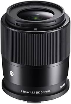 Amazon.com : 30mm F1.4 DC DN | C for EF-M Mount : Electronics