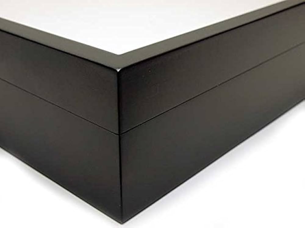 標本箱 ドイツ箱 大型 5個セット(中古、藤本標本用品製等)