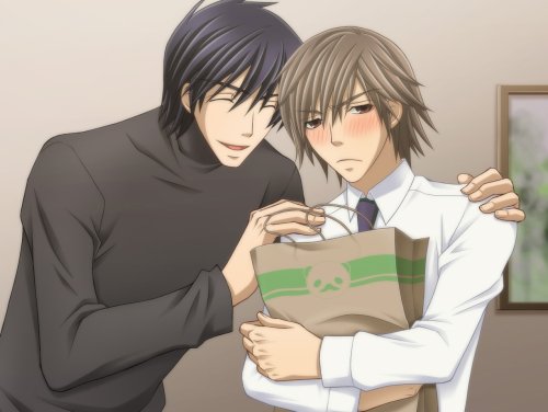 Amazon.co.jp: 純情ロマンチカ ~恋のドキドキ大作戦~(限定版) : ゲーム