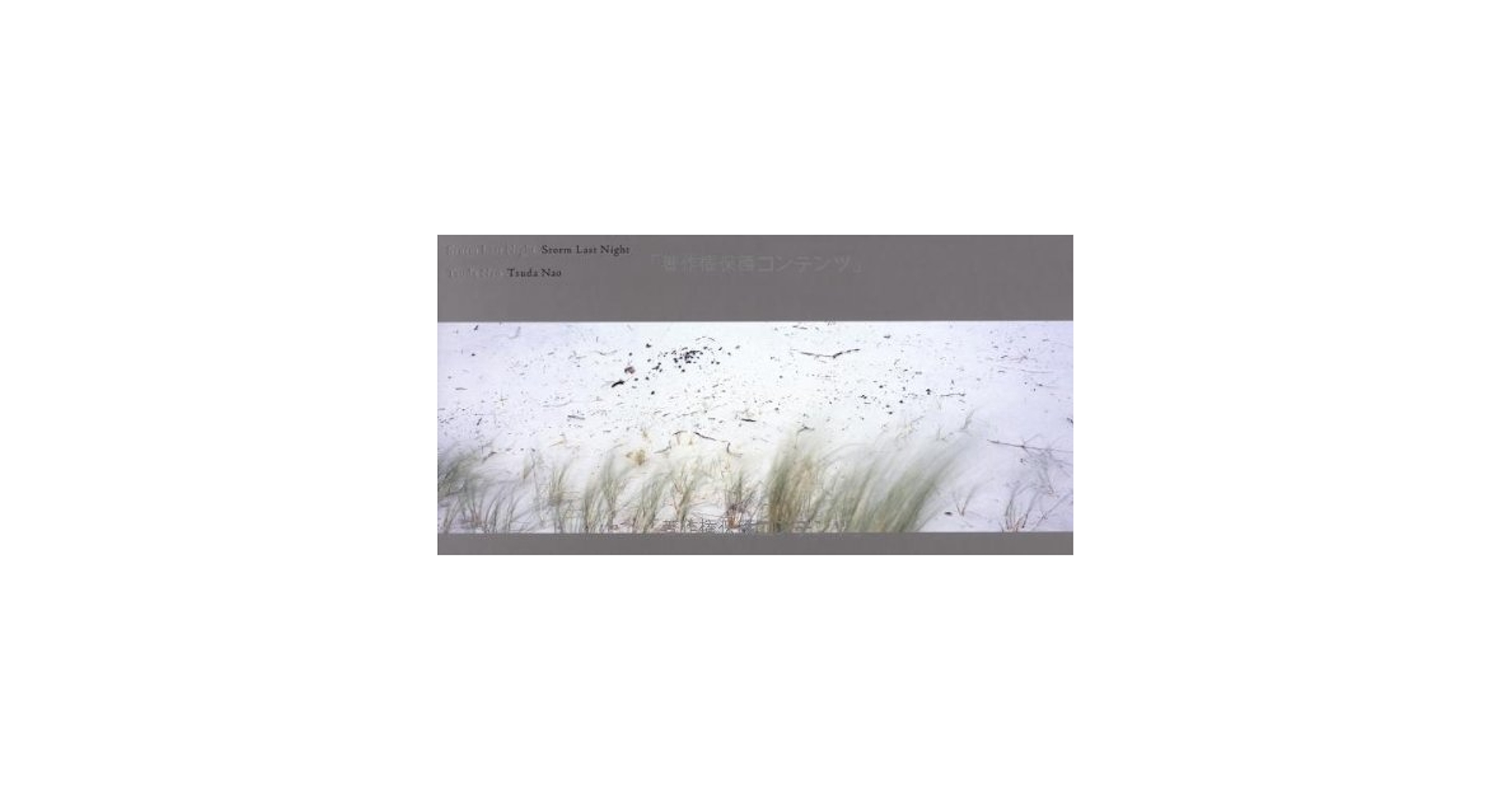 Storm Last Night 津田直 Nao Tsuda 初版 Storm Last Night 津田直 Nao